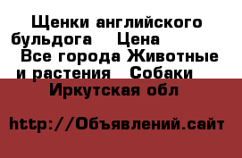 Щенки английского бульдога  › Цена ­ 60 000 - Все города Животные и растения » Собаки   . Иркутская обл.